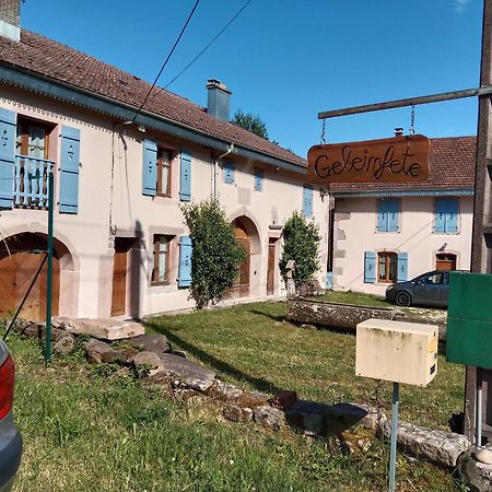 LE GELEINFÊTE - GÎTE VOSGES à proximité de GERARDMER Herpelmont Esterno foto